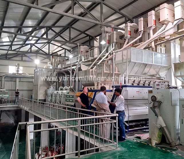 600kg/h Small Capacity Quinoa Processing Machine